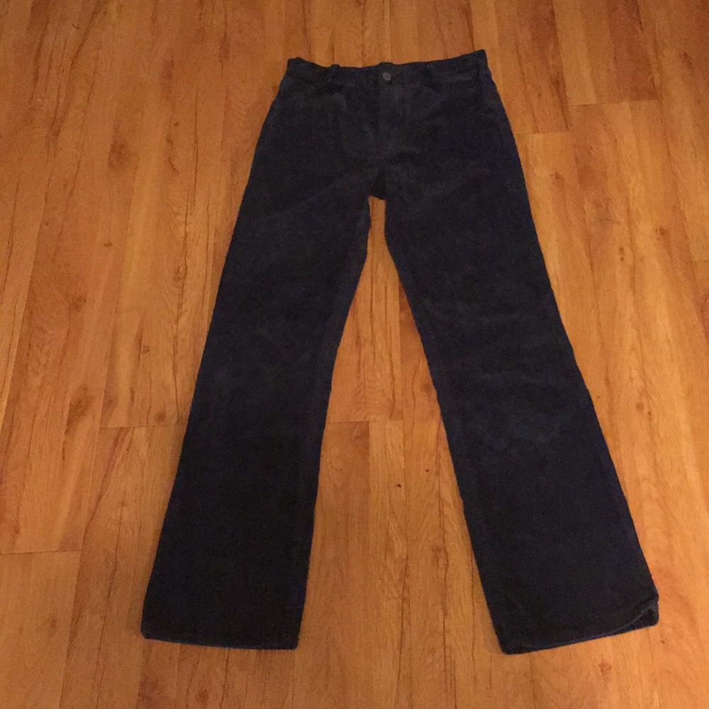 Brandy Melville Molly Corduroy Pants in Navy